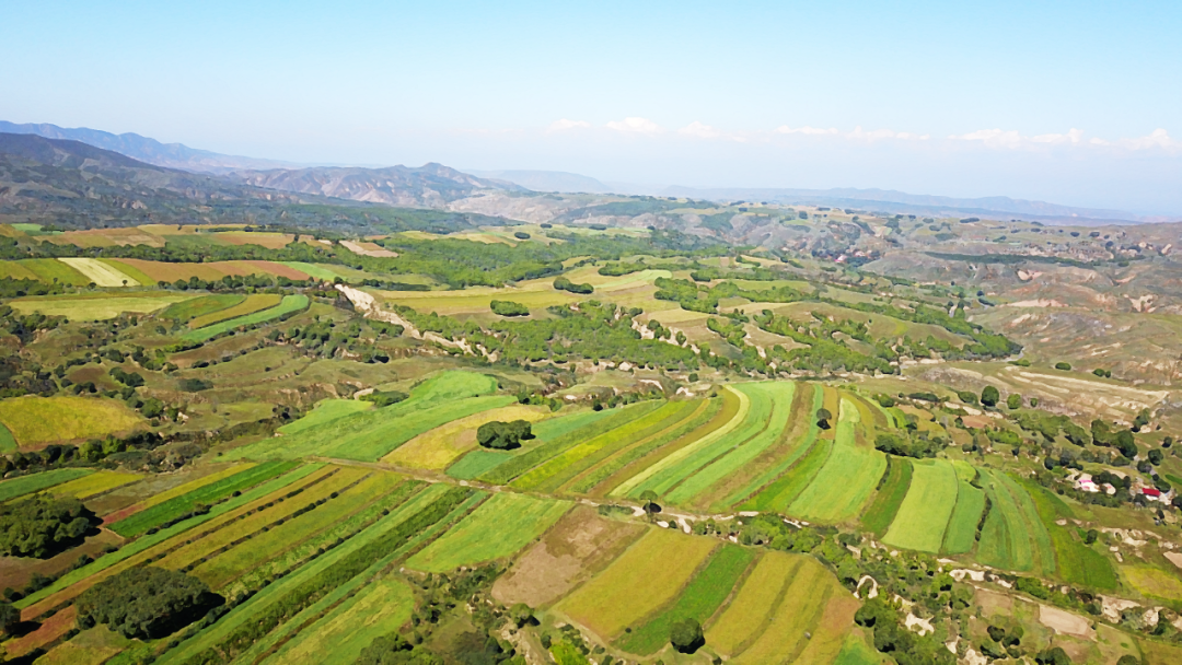 吃粗粮更健康，蒙清创新粗粮食品将亮相5月北京健康产业博览会