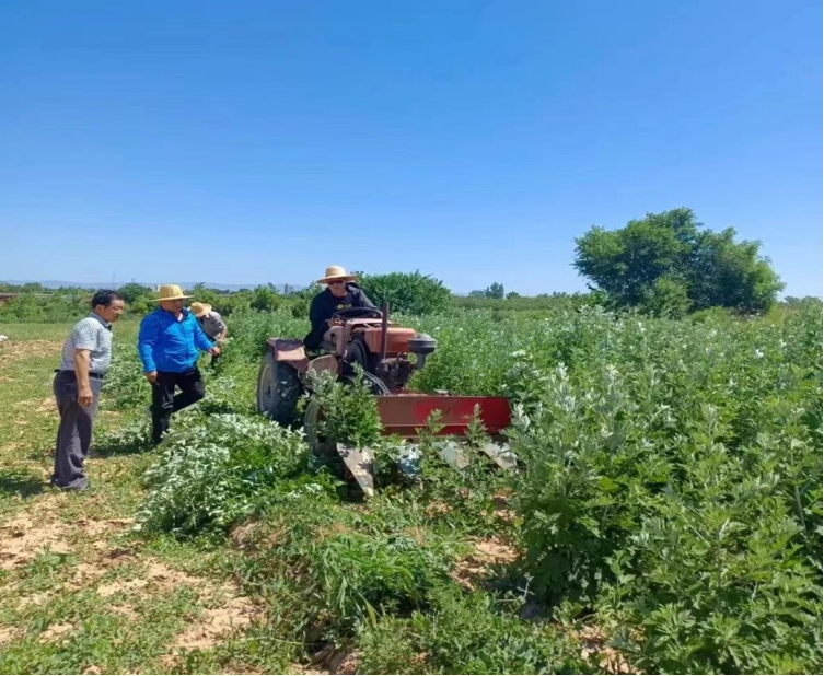 “艾”如珍宝，彤乐艾艺艾制品将亮相北京健康产业博览会！